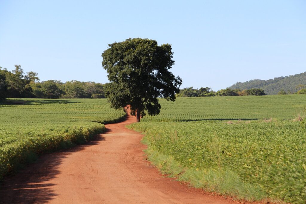 FAO Project to Boost Financial Literacy, Capital for MSMEs in Rwanda’s Agribusiness Sector